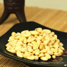 Pine Nut for Chinese wholesale in bulk price, ISO, HACC